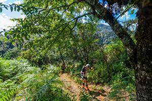 BIB: 
                            <button type="button" onclick="openModal(19375925)" class="btn btn-primary btn-sm float-right btn-popup" data-toggle="modal" data-target=".modal-high-quality">
                        <i class="fas fa-shopping-cart"></i> Add to Cart
                    </button>
                                            <button type="button" onclick="isThisMe(19375925, true)" class="btn btn-success btn-sm float-right btn-popup btn-isme hidden" data-toggle="tooltip" data-placement="bottom" title="นี่คือรูปของคุณใช่ไหม คลิกที่นี่เพื่อเอาเข้าอัลบั้ม">
                        <i class="fas fa-plus"></i> Add to album
                    </button>
                    <button type="button" onclick="isThisMe(19375925, false)" class="btn btn-warning btn-sm float-right btn-popup btn-isnotme hidden">
                        <i class="fas fa-ban"></i> Remove from album
                    </button>