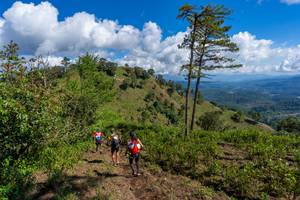 BIB: 
                            <button type="button" onclick="openModal(19375968)" class="btn btn-primary btn-sm float-right btn-popup" data-toggle="modal" data-target=".modal-high-quality">
                        <i class="fas fa-shopping-cart"></i> Add to Cart
                    </button>
                                            <button type="button" onclick="isThisMe(19375968, true)" class="btn btn-success btn-sm float-right btn-popup btn-isme hidden" data-toggle="tooltip" data-placement="bottom" title="นี่คือรูปของคุณใช่ไหม คลิกที่นี่เพื่อเอาเข้าอัลบั้ม">
                        <i class="fas fa-plus"></i> Add to album
                    </button>
                    <button type="button" onclick="isThisMe(19375968, false)" class="btn btn-warning btn-sm float-right btn-popup btn-isnotme hidden">
                        <i class="fas fa-ban"></i> Remove from album
                    </button>