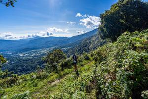 BIB: 
                            <button type="button" onclick="openModal(19375690)" class="btn btn-primary btn-sm float-right btn-popup" data-toggle="modal" data-target=".modal-high-quality">
                        <i class="fas fa-shopping-cart"></i> Add to Cart
                    </button>
                                            <button type="button" onclick="isThisMe(19375690, true)" class="btn btn-success btn-sm float-right btn-popup btn-isme hidden" data-toggle="tooltip" data-placement="bottom" title="นี่คือรูปของคุณใช่ไหม คลิกที่นี่เพื่อเอาเข้าอัลบั้ม">
                        <i class="fas fa-plus"></i> Add to album
                    </button>
                    <button type="button" onclick="isThisMe(19375690, false)" class="btn btn-warning btn-sm float-right btn-popup btn-isnotme hidden">
                        <i class="fas fa-ban"></i> Remove from album
                    </button>