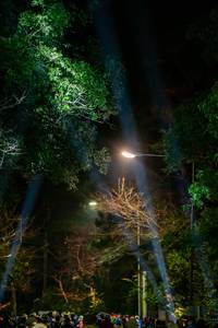 BIB: 
                            <button type="button" onclick="openModal(19374545)" class="btn btn-primary btn-sm float-right btn-popup" data-toggle="modal" data-target=".modal-high-quality">
                        <i class="fas fa-shopping-cart"></i> Add to Cart
                    </button>
                                            <button type="button" onclick="isThisMe(19374545, true)" class="btn btn-success btn-sm float-right btn-popup btn-isme hidden" data-toggle="tooltip" data-placement="bottom" title="นี่คือรูปของคุณใช่ไหม คลิกที่นี่เพื่อเอาเข้าอัลบั้ม">
                        <i class="fas fa-plus"></i> Add to album
                    </button>
                    <button type="button" onclick="isThisMe(19374545, false)" class="btn btn-warning btn-sm float-right btn-popup btn-isnotme hidden">
                        <i class="fas fa-ban"></i> Remove from album
                    </button>