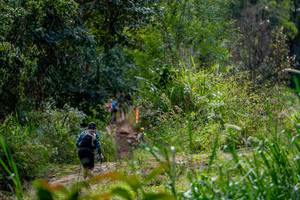 BIB: 
                            <button type="button" onclick="openModal(19375196)" class="btn btn-primary btn-sm float-right btn-popup" data-toggle="modal" data-target=".modal-high-quality">
                        <i class="fas fa-shopping-cart"></i> Add to Cart
                    </button>
                                            <button type="button" onclick="isThisMe(19375196, true)" class="btn btn-success btn-sm float-right btn-popup btn-isme hidden" data-toggle="tooltip" data-placement="bottom" title="นี่คือรูปของคุณใช่ไหม คลิกที่นี่เพื่อเอาเข้าอัลบั้ม">
                        <i class="fas fa-plus"></i> Add to album
                    </button>
                    <button type="button" onclick="isThisMe(19375196, false)" class="btn btn-warning btn-sm float-right btn-popup btn-isnotme hidden">
                        <i class="fas fa-ban"></i> Remove from album
                    </button>