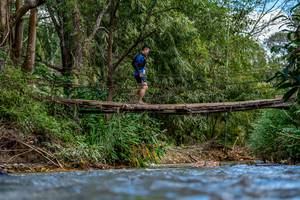 BIB: 
                            <button type="button" onclick="openModal(19375261)" class="btn btn-primary btn-sm float-right btn-popup" data-toggle="modal" data-target=".modal-high-quality">
                        <i class="fas fa-shopping-cart"></i> Add to Cart
                    </button>
                                            <button type="button" onclick="isThisMe(19375261, true)" class="btn btn-success btn-sm float-right btn-popup btn-isme hidden" data-toggle="tooltip" data-placement="bottom" title="นี่คือรูปของคุณใช่ไหม คลิกที่นี่เพื่อเอาเข้าอัลบั้ม">
                        <i class="fas fa-plus"></i> Add to album
                    </button>
                    <button type="button" onclick="isThisMe(19375261, false)" class="btn btn-warning btn-sm float-right btn-popup btn-isnotme hidden">
                        <i class="fas fa-ban"></i> Remove from album
                    </button>