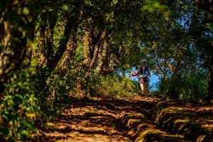 BIB: 
                            <button type="button" onclick="openModal(19374715)" class="btn btn-primary btn-sm float-right btn-popup" data-toggle="modal" data-target=".modal-high-quality">
                        <i class="fas fa-shopping-cart"></i> Add to Cart
                    </button>
                                            <button type="button" onclick="isThisMe(19374715, true)" class="btn btn-success btn-sm float-right btn-popup btn-isme hidden" data-toggle="tooltip" data-placement="bottom" title="นี่คือรูปของคุณใช่ไหม คลิกที่นี่เพื่อเอาเข้าอัลบั้ม">
                        <i class="fas fa-plus"></i> Add to album
                    </button>
                    <button type="button" onclick="isThisMe(19374715, false)" class="btn btn-warning btn-sm float-right btn-popup btn-isnotme hidden">
                        <i class="fas fa-ban"></i> Remove from album
                    </button>