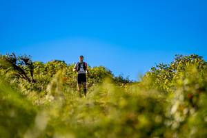 BIB: 
                            <button type="button" onclick="openModal(19374776)" class="btn btn-primary btn-sm float-right btn-popup" data-toggle="modal" data-target=".modal-high-quality">
                        <i class="fas fa-shopping-cart"></i> Add to Cart
                    </button>
                                            <button type="button" onclick="isThisMe(19374776, true)" class="btn btn-success btn-sm float-right btn-popup btn-isme hidden" data-toggle="tooltip" data-placement="bottom" title="นี่คือรูปของคุณใช่ไหม คลิกที่นี่เพื่อเอาเข้าอัลบั้ม">
                        <i class="fas fa-plus"></i> Add to album
                    </button>
                    <button type="button" onclick="isThisMe(19374776, false)" class="btn btn-warning btn-sm float-right btn-popup btn-isnotme hidden">
                        <i class="fas fa-ban"></i> Remove from album
                    </button>