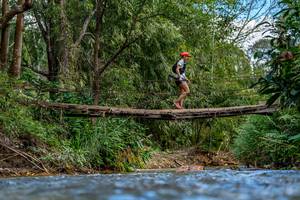 BIB: 
                            <button type="button" onclick="openModal(19375276)" class="btn btn-primary btn-sm float-right btn-popup" data-toggle="modal" data-target=".modal-high-quality">
                        <i class="fas fa-shopping-cart"></i> Add to Cart
                    </button>
                                            <button type="button" onclick="isThisMe(19375276, true)" class="btn btn-success btn-sm float-right btn-popup btn-isme hidden" data-toggle="tooltip" data-placement="bottom" title="นี่คือรูปของคุณใช่ไหม คลิกที่นี่เพื่อเอาเข้าอัลบั้ม">
                        <i class="fas fa-plus"></i> Add to album
                    </button>
                    <button type="button" onclick="isThisMe(19375276, false)" class="btn btn-warning btn-sm float-right btn-popup btn-isnotme hidden">
                        <i class="fas fa-ban"></i> Remove from album
                    </button>