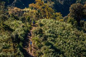 BIB: 
                            <button type="button" onclick="openModal(19374829)" class="btn btn-primary btn-sm float-right btn-popup" data-toggle="modal" data-target=".modal-high-quality">
                        <i class="fas fa-shopping-cart"></i> Add to Cart
                    </button>
                                            <button type="button" onclick="isThisMe(19374829, true)" class="btn btn-success btn-sm float-right btn-popup btn-isme hidden" data-toggle="tooltip" data-placement="bottom" title="นี่คือรูปของคุณใช่ไหม คลิกที่นี่เพื่อเอาเข้าอัลบั้ม">
                        <i class="fas fa-plus"></i> Add to album
                    </button>
                    <button type="button" onclick="isThisMe(19374829, false)" class="btn btn-warning btn-sm float-right btn-popup btn-isnotme hidden">
                        <i class="fas fa-ban"></i> Remove from album
                    </button>