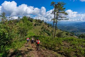 BIB: 
                            <button type="button" onclick="openModal(19375967)" class="btn btn-primary btn-sm float-right btn-popup" data-toggle="modal" data-target=".modal-high-quality">
                        <i class="fas fa-shopping-cart"></i> Add to Cart
                    </button>
                                            <button type="button" onclick="isThisMe(19375967, true)" class="btn btn-success btn-sm float-right btn-popup btn-isme hidden" data-toggle="tooltip" data-placement="bottom" title="นี่คือรูปของคุณใช่ไหม คลิกที่นี่เพื่อเอาเข้าอัลบั้ม">
                        <i class="fas fa-plus"></i> Add to album
                    </button>
                    <button type="button" onclick="isThisMe(19375967, false)" class="btn btn-warning btn-sm float-right btn-popup btn-isnotme hidden">
                        <i class="fas fa-ban"></i> Remove from album
                    </button>