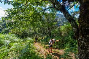 BIB: 
                            <button type="button" onclick="openModal(19375928)" class="btn btn-primary btn-sm float-right btn-popup" data-toggle="modal" data-target=".modal-high-quality">
                        <i class="fas fa-shopping-cart"></i> Add to Cart
                    </button>
                                            <button type="button" onclick="isThisMe(19375928, true)" class="btn btn-success btn-sm float-right btn-popup btn-isme hidden" data-toggle="tooltip" data-placement="bottom" title="นี่คือรูปของคุณใช่ไหม คลิกที่นี่เพื่อเอาเข้าอัลบั้ม">
                        <i class="fas fa-plus"></i> Add to album
                    </button>
                    <button type="button" onclick="isThisMe(19375928, false)" class="btn btn-warning btn-sm float-right btn-popup btn-isnotme hidden">
                        <i class="fas fa-ban"></i> Remove from album
                    </button>