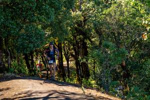 BIB: 
                            <button type="button" onclick="openModal(19374997)" class="btn btn-primary btn-sm float-right btn-popup" data-toggle="modal" data-target=".modal-high-quality">
                        <i class="fas fa-shopping-cart"></i> Add to Cart
                    </button>
                                            <button type="button" onclick="isThisMe(19374997, true)" class="btn btn-success btn-sm float-right btn-popup btn-isme hidden" data-toggle="tooltip" data-placement="bottom" title="นี่คือรูปของคุณใช่ไหม คลิกที่นี่เพื่อเอาเข้าอัลบั้ม">
                        <i class="fas fa-plus"></i> Add to album
                    </button>
                    <button type="button" onclick="isThisMe(19374997, false)" class="btn btn-warning btn-sm float-right btn-popup btn-isnotme hidden">
                        <i class="fas fa-ban"></i> Remove from album
                    </button>