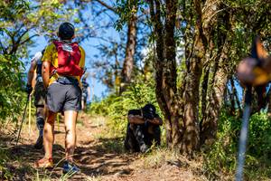 BIB: 
                            <button type="button" onclick="openModal(19375131)" class="btn btn-primary btn-sm float-right btn-popup" data-toggle="modal" data-target=".modal-high-quality">
                        <i class="fas fa-shopping-cart"></i> Add to Cart
                    </button>
                                            <button type="button" onclick="isThisMe(19375131, true)" class="btn btn-success btn-sm float-right btn-popup btn-isme hidden" data-toggle="tooltip" data-placement="bottom" title="นี่คือรูปของคุณใช่ไหม คลิกที่นี่เพื่อเอาเข้าอัลบั้ม">
                        <i class="fas fa-plus"></i> Add to album
                    </button>
                    <button type="button" onclick="isThisMe(19375131, false)" class="btn btn-warning btn-sm float-right btn-popup btn-isnotme hidden">
                        <i class="fas fa-ban"></i> Remove from album
                    </button>