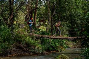 BIB: 
                            <button type="button" onclick="openModal(19375206)" class="btn btn-primary btn-sm float-right btn-popup" data-toggle="modal" data-target=".modal-high-quality">
                        <i class="fas fa-shopping-cart"></i> Add to Cart
                    </button>
                                            <button type="button" onclick="isThisMe(19375206, true)" class="btn btn-success btn-sm float-right btn-popup btn-isme hidden" data-toggle="tooltip" data-placement="bottom" title="นี่คือรูปของคุณใช่ไหม คลิกที่นี่เพื่อเอาเข้าอัลบั้ม">
                        <i class="fas fa-plus"></i> Add to album
                    </button>
                    <button type="button" onclick="isThisMe(19375206, false)" class="btn btn-warning btn-sm float-right btn-popup btn-isnotme hidden">
                        <i class="fas fa-ban"></i> Remove from album
                    </button>