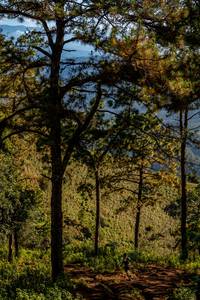 BIB: 
                            <button type="button" onclick="openModal(19374700)" class="btn btn-primary btn-sm float-right btn-popup" data-toggle="modal" data-target=".modal-high-quality">
                        <i class="fas fa-shopping-cart"></i> Add to Cart
                    </button>
                                            <button type="button" onclick="isThisMe(19374700, true)" class="btn btn-success btn-sm float-right btn-popup btn-isme hidden" data-toggle="tooltip" data-placement="bottom" title="นี่คือรูปของคุณใช่ไหม คลิกที่นี่เพื่อเอาเข้าอัลบั้ม">
                        <i class="fas fa-plus"></i> Add to album
                    </button>
                    <button type="button" onclick="isThisMe(19374700, false)" class="btn btn-warning btn-sm float-right btn-popup btn-isnotme hidden">
                        <i class="fas fa-ban"></i> Remove from album
                    </button>