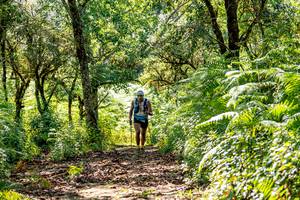 BIB: 
                            <button type="button" onclick="openModal(19374841)" class="btn btn-primary btn-sm float-right btn-popup" data-toggle="modal" data-target=".modal-high-quality">
                        <i class="fas fa-shopping-cart"></i> Add to Cart
                    </button>
                                            <button type="button" onclick="isThisMe(19374841, true)" class="btn btn-success btn-sm float-right btn-popup btn-isme hidden" data-toggle="tooltip" data-placement="bottom" title="นี่คือรูปของคุณใช่ไหม คลิกที่นี่เพื่อเอาเข้าอัลบั้ม">
                        <i class="fas fa-plus"></i> Add to album
                    </button>
                    <button type="button" onclick="isThisMe(19374841, false)" class="btn btn-warning btn-sm float-right btn-popup btn-isnotme hidden">
                        <i class="fas fa-ban"></i> Remove from album
                    </button>