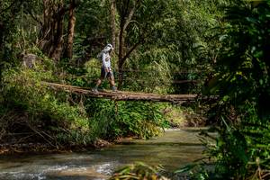 BIB: 
                            <button type="button" onclick="openModal(19375203)" class="btn btn-primary btn-sm float-right btn-popup" data-toggle="modal" data-target=".modal-high-quality">
                        <i class="fas fa-shopping-cart"></i> Add to Cart
                    </button>
                                            <button type="button" onclick="isThisMe(19375203, true)" class="btn btn-success btn-sm float-right btn-popup btn-isme hidden" data-toggle="tooltip" data-placement="bottom" title="นี่คือรูปของคุณใช่ไหม คลิกที่นี่เพื่อเอาเข้าอัลบั้ม">
                        <i class="fas fa-plus"></i> Add to album
                    </button>
                    <button type="button" onclick="isThisMe(19375203, false)" class="btn btn-warning btn-sm float-right btn-popup btn-isnotme hidden">
                        <i class="fas fa-ban"></i> Remove from album
                    </button>