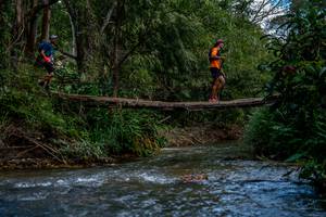 BIB: 
                            <button type="button" onclick="openModal(19375219)" class="btn btn-primary btn-sm float-right btn-popup" data-toggle="modal" data-target=".modal-high-quality">
                        <i class="fas fa-shopping-cart"></i> Add to Cart
                    </button>
                                            <button type="button" onclick="isThisMe(19375219, true)" class="btn btn-success btn-sm float-right btn-popup btn-isme hidden" data-toggle="tooltip" data-placement="bottom" title="นี่คือรูปของคุณใช่ไหม คลิกที่นี่เพื่อเอาเข้าอัลบั้ม">
                        <i class="fas fa-plus"></i> Add to album
                    </button>
                    <button type="button" onclick="isThisMe(19375219, false)" class="btn btn-warning btn-sm float-right btn-popup btn-isnotme hidden">
                        <i class="fas fa-ban"></i> Remove from album
                    </button>