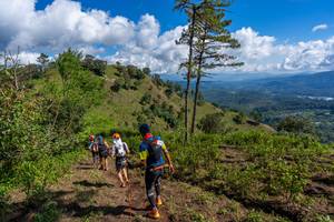 BIB: 
                            <button type="button" onclick="openModal(19375971)" class="btn btn-primary btn-sm float-right btn-popup" data-toggle="modal" data-target=".modal-high-quality">
                        <i class="fas fa-shopping-cart"></i> Add to Cart
                    </button>
                                            <button type="button" onclick="isThisMe(19375971, true)" class="btn btn-success btn-sm float-right btn-popup btn-isme hidden" data-toggle="tooltip" data-placement="bottom" title="นี่คือรูปของคุณใช่ไหม คลิกที่นี่เพื่อเอาเข้าอัลบั้ม">
                        <i class="fas fa-plus"></i> Add to album
                    </button>
                    <button type="button" onclick="isThisMe(19375971, false)" class="btn btn-warning btn-sm float-right btn-popup btn-isnotme hidden">
                        <i class="fas fa-ban"></i> Remove from album
                    </button>