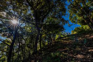 BIB: 
                            <button type="button" onclick="openModal(19375791)" class="btn btn-primary btn-sm float-right btn-popup" data-toggle="modal" data-target=".modal-high-quality">
                        <i class="fas fa-shopping-cart"></i> Add to Cart
                    </button>
                                            <button type="button" onclick="isThisMe(19375791, true)" class="btn btn-success btn-sm float-right btn-popup btn-isme hidden" data-toggle="tooltip" data-placement="bottom" title="นี่คือรูปของคุณใช่ไหม คลิกที่นี่เพื่อเอาเข้าอัลบั้ม">
                        <i class="fas fa-plus"></i> Add to album
                    </button>
                    <button type="button" onclick="isThisMe(19375791, false)" class="btn btn-warning btn-sm float-right btn-popup btn-isnotme hidden">
                        <i class="fas fa-ban"></i> Remove from album
                    </button>