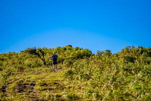 BIB: 
                            <button type="button" onclick="openModal(19374742)" class="btn btn-primary btn-sm float-right btn-popup" data-toggle="modal" data-target=".modal-high-quality">
                        <i class="fas fa-shopping-cart"></i> Add to Cart
                    </button>
                                            <button type="button" onclick="isThisMe(19374742, true)" class="btn btn-success btn-sm float-right btn-popup btn-isme hidden" data-toggle="tooltip" data-placement="bottom" title="นี่คือรูปของคุณใช่ไหม คลิกที่นี่เพื่อเอาเข้าอัลบั้ม">
                        <i class="fas fa-plus"></i> Add to album
                    </button>
                    <button type="button" onclick="isThisMe(19374742, false)" class="btn btn-warning btn-sm float-right btn-popup btn-isnotme hidden">
                        <i class="fas fa-ban"></i> Remove from album
                    </button>