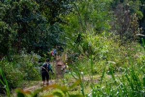 BIB: 
                            <button type="button" onclick="openModal(19375198)" class="btn btn-primary btn-sm float-right btn-popup" data-toggle="modal" data-target=".modal-high-quality">
                        <i class="fas fa-shopping-cart"></i> Add to Cart
                    </button>
                                            <button type="button" onclick="isThisMe(19375198, true)" class="btn btn-success btn-sm float-right btn-popup btn-isme hidden" data-toggle="tooltip" data-placement="bottom" title="นี่คือรูปของคุณใช่ไหม คลิกที่นี่เพื่อเอาเข้าอัลบั้ม">
                        <i class="fas fa-plus"></i> Add to album
                    </button>
                    <button type="button" onclick="isThisMe(19375198, false)" class="btn btn-warning btn-sm float-right btn-popup btn-isnotme hidden">
                        <i class="fas fa-ban"></i> Remove from album
                    </button>