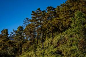 BIB: 
                            <button type="button" onclick="openModal(19374677)" class="btn btn-primary btn-sm float-right btn-popup" data-toggle="modal" data-target=".modal-high-quality">
                        <i class="fas fa-shopping-cart"></i> Add to Cart
                    </button>
                                            <button type="button" onclick="isThisMe(19374677, true)" class="btn btn-success btn-sm float-right btn-popup btn-isme hidden" data-toggle="tooltip" data-placement="bottom" title="นี่คือรูปของคุณใช่ไหม คลิกที่นี่เพื่อเอาเข้าอัลบั้ม">
                        <i class="fas fa-plus"></i> Add to album
                    </button>
                    <button type="button" onclick="isThisMe(19374677, false)" class="btn btn-warning btn-sm float-right btn-popup btn-isnotme hidden">
                        <i class="fas fa-ban"></i> Remove from album
                    </button>