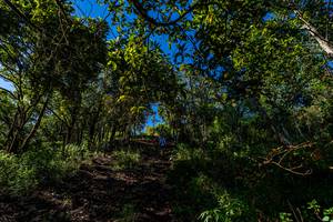 BIB: 
                            <button type="button" onclick="openModal(19375757)" class="btn btn-primary btn-sm float-right btn-popup" data-toggle="modal" data-target=".modal-high-quality">
                        <i class="fas fa-shopping-cart"></i> Add to Cart
                    </button>
                                            <button type="button" onclick="isThisMe(19375757, true)" class="btn btn-success btn-sm float-right btn-popup btn-isme hidden" data-toggle="tooltip" data-placement="bottom" title="นี่คือรูปของคุณใช่ไหม คลิกที่นี่เพื่อเอาเข้าอัลบั้ม">
                        <i class="fas fa-plus"></i> Add to album
                    </button>
                    <button type="button" onclick="isThisMe(19375757, false)" class="btn btn-warning btn-sm float-right btn-popup btn-isnotme hidden">
                        <i class="fas fa-ban"></i> Remove from album
                    </button>