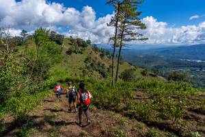 BIB: 
                            <button type="button" onclick="openModal(19375965)" class="btn btn-primary btn-sm float-right btn-popup" data-toggle="modal" data-target=".modal-high-quality">
                        <i class="fas fa-shopping-cart"></i> Add to Cart
                    </button>
                                            <button type="button" onclick="isThisMe(19375965, true)" class="btn btn-success btn-sm float-right btn-popup btn-isme hidden" data-toggle="tooltip" data-placement="bottom" title="นี่คือรูปของคุณใช่ไหม คลิกที่นี่เพื่อเอาเข้าอัลบั้ม">
                        <i class="fas fa-plus"></i> Add to album
                    </button>
                    <button type="button" onclick="isThisMe(19375965, false)" class="btn btn-warning btn-sm float-right btn-popup btn-isnotme hidden">
                        <i class="fas fa-ban"></i> Remove from album
                    </button>