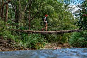 BIB: 
                            <button type="button" onclick="openModal(19375275)" class="btn btn-primary btn-sm float-right btn-popup" data-toggle="modal" data-target=".modal-high-quality">
                        <i class="fas fa-shopping-cart"></i> Add to Cart
                    </button>
                                            <button type="button" onclick="isThisMe(19375275, true)" class="btn btn-success btn-sm float-right btn-popup btn-isme hidden" data-toggle="tooltip" data-placement="bottom" title="นี่คือรูปของคุณใช่ไหม คลิกที่นี่เพื่อเอาเข้าอัลบั้ม">
                        <i class="fas fa-plus"></i> Add to album
                    </button>
                    <button type="button" onclick="isThisMe(19375275, false)" class="btn btn-warning btn-sm float-right btn-popup btn-isnotme hidden">
                        <i class="fas fa-ban"></i> Remove from album
                    </button>