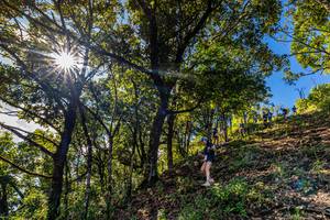 BIB: 
                            <button type="button" onclick="openModal(19375787)" class="btn btn-primary btn-sm float-right btn-popup" data-toggle="modal" data-target=".modal-high-quality">
                        <i class="fas fa-shopping-cart"></i> Add to Cart
                    </button>
                                            <button type="button" onclick="isThisMe(19375787, true)" class="btn btn-success btn-sm float-right btn-popup btn-isme hidden" data-toggle="tooltip" data-placement="bottom" title="นี่คือรูปของคุณใช่ไหม คลิกที่นี่เพื่อเอาเข้าอัลบั้ม">
                        <i class="fas fa-plus"></i> Add to album
                    </button>
                    <button type="button" onclick="isThisMe(19375787, false)" class="btn btn-warning btn-sm float-right btn-popup btn-isnotme hidden">
                        <i class="fas fa-ban"></i> Remove from album
                    </button>