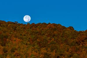 BIB: 
                            <button type="button" onclick="openModal(19374593)" class="btn btn-primary btn-sm float-right btn-popup" data-toggle="modal" data-target=".modal-high-quality">
                        <i class="fas fa-shopping-cart"></i> Add to Cart
                    </button>
                                            <button type="button" onclick="isThisMe(19374593, true)" class="btn btn-success btn-sm float-right btn-popup btn-isme hidden" data-toggle="tooltip" data-placement="bottom" title="นี่คือรูปของคุณใช่ไหม คลิกที่นี่เพื่อเอาเข้าอัลบั้ม">
                        <i class="fas fa-plus"></i> Add to album
                    </button>
                    <button type="button" onclick="isThisMe(19374593, false)" class="btn btn-warning btn-sm float-right btn-popup btn-isnotme hidden">
                        <i class="fas fa-ban"></i> Remove from album
                    </button>