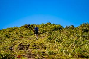 BIB: 
                            <button type="button" onclick="openModal(19374741)" class="btn btn-primary btn-sm float-right btn-popup" data-toggle="modal" data-target=".modal-high-quality">
                        <i class="fas fa-shopping-cart"></i> Add to Cart
                    </button>
                                            <button type="button" onclick="isThisMe(19374741, true)" class="btn btn-success btn-sm float-right btn-popup btn-isme hidden" data-toggle="tooltip" data-placement="bottom" title="นี่คือรูปของคุณใช่ไหม คลิกที่นี่เพื่อเอาเข้าอัลบั้ม">
                        <i class="fas fa-plus"></i> Add to album
                    </button>
                    <button type="button" onclick="isThisMe(19374741, false)" class="btn btn-warning btn-sm float-right btn-popup btn-isnotme hidden">
                        <i class="fas fa-ban"></i> Remove from album
                    </button>