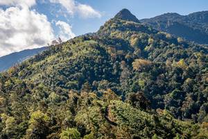 BIB: 
                            <button type="button" onclick="openModal(19374816)" class="btn btn-primary btn-sm float-right btn-popup" data-toggle="modal" data-target=".modal-high-quality">
                        <i class="fas fa-shopping-cart"></i> Add to Cart
                    </button>
                                            <button type="button" onclick="isThisMe(19374816, true)" class="btn btn-success btn-sm float-right btn-popup btn-isme hidden" data-toggle="tooltip" data-placement="bottom" title="นี่คือรูปของคุณใช่ไหม คลิกที่นี่เพื่อเอาเข้าอัลบั้ม">
                        <i class="fas fa-plus"></i> Add to album
                    </button>
                    <button type="button" onclick="isThisMe(19374816, false)" class="btn btn-warning btn-sm float-right btn-popup btn-isnotme hidden">
                        <i class="fas fa-ban"></i> Remove from album
                    </button>