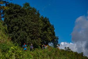 BIB: 
                            <button type="button" onclick="openModal(19375150)" class="btn btn-primary btn-sm float-right btn-popup" data-toggle="modal" data-target=".modal-high-quality">
                        <i class="fas fa-shopping-cart"></i> Add to Cart
                    </button>
                                            <button type="button" onclick="isThisMe(19375150, true)" class="btn btn-success btn-sm float-right btn-popup btn-isme hidden" data-toggle="tooltip" data-placement="bottom" title="นี่คือรูปของคุณใช่ไหม คลิกที่นี่เพื่อเอาเข้าอัลบั้ม">
                        <i class="fas fa-plus"></i> Add to album
                    </button>
                    <button type="button" onclick="isThisMe(19375150, false)" class="btn btn-warning btn-sm float-right btn-popup btn-isnotme hidden">
                        <i class="fas fa-ban"></i> Remove from album
                    </button>