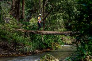 BIB: 
                            <button type="button" onclick="openModal(19375259)" class="btn btn-primary btn-sm float-right btn-popup" data-toggle="modal" data-target=".modal-high-quality">
                        <i class="fas fa-shopping-cart"></i> Add to Cart
                    </button>
                                            <button type="button" onclick="isThisMe(19375259, true)" class="btn btn-success btn-sm float-right btn-popup btn-isme hidden" data-toggle="tooltip" data-placement="bottom" title="นี่คือรูปของคุณใช่ไหม คลิกที่นี่เพื่อเอาเข้าอัลบั้ม">
                        <i class="fas fa-plus"></i> Add to album
                    </button>
                    <button type="button" onclick="isThisMe(19375259, false)" class="btn btn-warning btn-sm float-right btn-popup btn-isnotme hidden">
                        <i class="fas fa-ban"></i> Remove from album
                    </button>