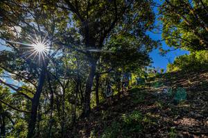 BIB: 
                            <button type="button" onclick="openModal(19375797)" class="btn btn-primary btn-sm float-right btn-popup" data-toggle="modal" data-target=".modal-high-quality">
                        <i class="fas fa-shopping-cart"></i> Add to Cart
                    </button>
                                            <button type="button" onclick="isThisMe(19375797, true)" class="btn btn-success btn-sm float-right btn-popup btn-isme hidden" data-toggle="tooltip" data-placement="bottom" title="นี่คือรูปของคุณใช่ไหม คลิกที่นี่เพื่อเอาเข้าอัลบั้ม">
                        <i class="fas fa-plus"></i> Add to album
                    </button>
                    <button type="button" onclick="isThisMe(19375797, false)" class="btn btn-warning btn-sm float-right btn-popup btn-isnotme hidden">
                        <i class="fas fa-ban"></i> Remove from album
                    </button>