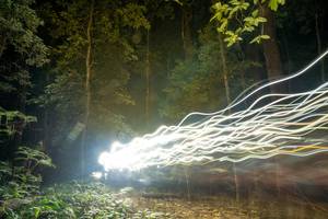 BIB: 
                            <button type="button" onclick="openModal(19374401)" class="btn btn-primary btn-sm float-right btn-popup" data-toggle="modal" data-target=".modal-high-quality">
                        <i class="fas fa-shopping-cart"></i> Add to Cart
                    </button>
                                            <button type="button" onclick="isThisMe(19374401, true)" class="btn btn-success btn-sm float-right btn-popup btn-isme hidden" data-toggle="tooltip" data-placement="bottom" title="นี่คือรูปของคุณใช่ไหม คลิกที่นี่เพื่อเอาเข้าอัลบั้ม">
                        <i class="fas fa-plus"></i> Add to album
                    </button>
                    <button type="button" onclick="isThisMe(19374401, false)" class="btn btn-warning btn-sm float-right btn-popup btn-isnotme hidden">
                        <i class="fas fa-ban"></i> Remove from album
                    </button>