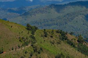 BIB: 
                            <button type="button" onclick="openModal(19375108)" class="btn btn-primary btn-sm float-right btn-popup" data-toggle="modal" data-target=".modal-high-quality">
                        <i class="fas fa-shopping-cart"></i> Add to Cart
                    </button>
                                            <button type="button" onclick="isThisMe(19375108, true)" class="btn btn-success btn-sm float-right btn-popup btn-isme hidden" data-toggle="tooltip" data-placement="bottom" title="นี่คือรูปของคุณใช่ไหม คลิกที่นี่เพื่อเอาเข้าอัลบั้ม">
                        <i class="fas fa-plus"></i> Add to album
                    </button>
                    <button type="button" onclick="isThisMe(19375108, false)" class="btn btn-warning btn-sm float-right btn-popup btn-isnotme hidden">
                        <i class="fas fa-ban"></i> Remove from album
                    </button>