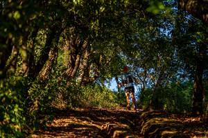 BIB: 
                            <button type="button" onclick="openModal(19374722)" class="btn btn-primary btn-sm float-right btn-popup" data-toggle="modal" data-target=".modal-high-quality">
                        <i class="fas fa-shopping-cart"></i> Add to Cart
                    </button>
                                            <button type="button" onclick="isThisMe(19374722, true)" class="btn btn-success btn-sm float-right btn-popup btn-isme hidden" data-toggle="tooltip" data-placement="bottom" title="นี่คือรูปของคุณใช่ไหม คลิกที่นี่เพื่อเอาเข้าอัลบั้ม">
                        <i class="fas fa-plus"></i> Add to album
                    </button>
                    <button type="button" onclick="isThisMe(19374722, false)" class="btn btn-warning btn-sm float-right btn-popup btn-isnotme hidden">
                        <i class="fas fa-ban"></i> Remove from album
                    </button>