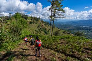 BIB: 
                            <button type="button" onclick="openModal(19375963)" class="btn btn-primary btn-sm float-right btn-popup" data-toggle="modal" data-target=".modal-high-quality">
                        <i class="fas fa-shopping-cart"></i> Add to Cart
                    </button>
                                            <button type="button" onclick="isThisMe(19375963, true)" class="btn btn-success btn-sm float-right btn-popup btn-isme hidden" data-toggle="tooltip" data-placement="bottom" title="นี่คือรูปของคุณใช่ไหม คลิกที่นี่เพื่อเอาเข้าอัลบั้ม">
                        <i class="fas fa-plus"></i> Add to album
                    </button>
                    <button type="button" onclick="isThisMe(19375963, false)" class="btn btn-warning btn-sm float-right btn-popup btn-isnotme hidden">
                        <i class="fas fa-ban"></i> Remove from album
                    </button>