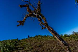 BIB: 
                            <button type="button" onclick="openModal(19375680)" class="btn btn-primary btn-sm float-right btn-popup" data-toggle="modal" data-target=".modal-high-quality">
                        <i class="fas fa-shopping-cart"></i> Add to Cart
                    </button>
                                            <button type="button" onclick="isThisMe(19375680, true)" class="btn btn-success btn-sm float-right btn-popup btn-isme hidden" data-toggle="tooltip" data-placement="bottom" title="นี่คือรูปของคุณใช่ไหม คลิกที่นี่เพื่อเอาเข้าอัลบั้ม">
                        <i class="fas fa-plus"></i> Add to album
                    </button>
                    <button type="button" onclick="isThisMe(19375680, false)" class="btn btn-warning btn-sm float-right btn-popup btn-isnotme hidden">
                        <i class="fas fa-ban"></i> Remove from album
                    </button>