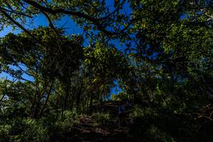 BIB: 
                            <button type="button" onclick="openModal(19375761)" class="btn btn-primary btn-sm float-right btn-popup" data-toggle="modal" data-target=".modal-high-quality">
                        <i class="fas fa-shopping-cart"></i> Add to Cart
                    </button>
                                            <button type="button" onclick="isThisMe(19375761, true)" class="btn btn-success btn-sm float-right btn-popup btn-isme hidden" data-toggle="tooltip" data-placement="bottom" title="นี่คือรูปของคุณใช่ไหม คลิกที่นี่เพื่อเอาเข้าอัลบั้ม">
                        <i class="fas fa-plus"></i> Add to album
                    </button>
                    <button type="button" onclick="isThisMe(19375761, false)" class="btn btn-warning btn-sm float-right btn-popup btn-isnotme hidden">
                        <i class="fas fa-ban"></i> Remove from album
                    </button>