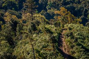 BIB: 
                            <button type="button" onclick="openModal(19374822)" class="btn btn-primary btn-sm float-right btn-popup" data-toggle="modal" data-target=".modal-high-quality">
                        <i class="fas fa-shopping-cart"></i> Add to Cart
                    </button>
                                            <button type="button" onclick="isThisMe(19374822, true)" class="btn btn-success btn-sm float-right btn-popup btn-isme hidden" data-toggle="tooltip" data-placement="bottom" title="นี่คือรูปของคุณใช่ไหม คลิกที่นี่เพื่อเอาเข้าอัลบั้ม">
                        <i class="fas fa-plus"></i> Add to album
                    </button>
                    <button type="button" onclick="isThisMe(19374822, false)" class="btn btn-warning btn-sm float-right btn-popup btn-isnotme hidden">
                        <i class="fas fa-ban"></i> Remove from album
                    </button>