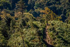 BIB: 
                            <button type="button" onclick="openModal(19374824)" class="btn btn-primary btn-sm float-right btn-popup" data-toggle="modal" data-target=".modal-high-quality">
                        <i class="fas fa-shopping-cart"></i> Add to Cart
                    </button>
                                            <button type="button" onclick="isThisMe(19374824, true)" class="btn btn-success btn-sm float-right btn-popup btn-isme hidden" data-toggle="tooltip" data-placement="bottom" title="นี่คือรูปของคุณใช่ไหม คลิกที่นี่เพื่อเอาเข้าอัลบั้ม">
                        <i class="fas fa-plus"></i> Add to album
                    </button>
                    <button type="button" onclick="isThisMe(19374824, false)" class="btn btn-warning btn-sm float-right btn-popup btn-isnotme hidden">
                        <i class="fas fa-ban"></i> Remove from album
                    </button>