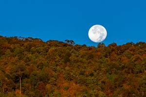 BIB: 
                            <button type="button" onclick="openModal(19374594)" class="btn btn-primary btn-sm float-right btn-popup" data-toggle="modal" data-target=".modal-high-quality">
                        <i class="fas fa-shopping-cart"></i> Add to Cart
                    </button>
                                            <button type="button" onclick="isThisMe(19374594, true)" class="btn btn-success btn-sm float-right btn-popup btn-isme hidden" data-toggle="tooltip" data-placement="bottom" title="นี่คือรูปของคุณใช่ไหม คลิกที่นี่เพื่อเอาเข้าอัลบั้ม">
                        <i class="fas fa-plus"></i> Add to album
                    </button>
                    <button type="button" onclick="isThisMe(19374594, false)" class="btn btn-warning btn-sm float-right btn-popup btn-isnotme hidden">
                        <i class="fas fa-ban"></i> Remove from album
                    </button>