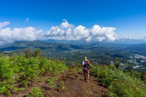 BIB: 
                            <button type="button" onclick="openModal(19375893)" class="btn btn-primary btn-sm float-right btn-popup" data-toggle="modal" data-target=".modal-high-quality">
                        <i class="fas fa-shopping-cart"></i> Add to Cart
                    </button>
                                            <button type="button" onclick="isThisMe(19375893, true)" class="btn btn-success btn-sm float-right btn-popup btn-isme hidden" data-toggle="tooltip" data-placement="bottom" title="นี่คือรูปของคุณใช่ไหม คลิกที่นี่เพื่อเอาเข้าอัลบั้ม">
                        <i class="fas fa-plus"></i> Add to album
                    </button>
                    <button type="button" onclick="isThisMe(19375893, false)" class="btn btn-warning btn-sm float-right btn-popup btn-isnotme hidden">
                        <i class="fas fa-ban"></i> Remove from album
                    </button>