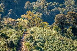 BIB: 
                            <button type="button" onclick="openModal(19374830)" class="btn btn-primary btn-sm float-right btn-popup" data-toggle="modal" data-target=".modal-high-quality">
                        <i class="fas fa-shopping-cart"></i> Add to Cart
                    </button>
                                            <button type="button" onclick="isThisMe(19374830, true)" class="btn btn-success btn-sm float-right btn-popup btn-isme hidden" data-toggle="tooltip" data-placement="bottom" title="นี่คือรูปของคุณใช่ไหม คลิกที่นี่เพื่อเอาเข้าอัลบั้ม">
                        <i class="fas fa-plus"></i> Add to album
                    </button>
                    <button type="button" onclick="isThisMe(19374830, false)" class="btn btn-warning btn-sm float-right btn-popup btn-isnotme hidden">
                        <i class="fas fa-ban"></i> Remove from album
                    </button>