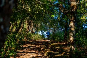 BIB: 
                            <button type="button" onclick="openModal(19374710)" class="btn btn-primary btn-sm float-right btn-popup" data-toggle="modal" data-target=".modal-high-quality">
                        <i class="fas fa-shopping-cart"></i> Add to Cart
                    </button>
                                            <button type="button" onclick="isThisMe(19374710, true)" class="btn btn-success btn-sm float-right btn-popup btn-isme hidden" data-toggle="tooltip" data-placement="bottom" title="นี่คือรูปของคุณใช่ไหม คลิกที่นี่เพื่อเอาเข้าอัลบั้ม">
                        <i class="fas fa-plus"></i> Add to album
                    </button>
                    <button type="button" onclick="isThisMe(19374710, false)" class="btn btn-warning btn-sm float-right btn-popup btn-isnotme hidden">
                        <i class="fas fa-ban"></i> Remove from album
                    </button>