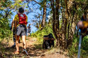 BIB: 
                            <button type="button" onclick="openModal(19375132)" class="btn btn-primary btn-sm float-right btn-popup" data-toggle="modal" data-target=".modal-high-quality">
                        <i class="fas fa-shopping-cart"></i> Add to Cart
                    </button>
                                            <button type="button" onclick="isThisMe(19375132, true)" class="btn btn-success btn-sm float-right btn-popup btn-isme hidden" data-toggle="tooltip" data-placement="bottom" title="นี่คือรูปของคุณใช่ไหม คลิกที่นี่เพื่อเอาเข้าอัลบั้ม">
                        <i class="fas fa-plus"></i> Add to album
                    </button>
                    <button type="button" onclick="isThisMe(19375132, false)" class="btn btn-warning btn-sm float-right btn-popup btn-isnotme hidden">
                        <i class="fas fa-ban"></i> Remove from album
                    </button>