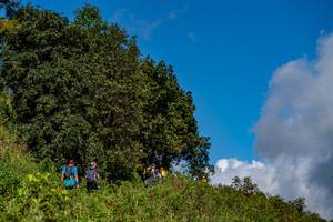 BIB: 
                            <button type="button" onclick="openModal(19375148)" class="btn btn-primary btn-sm float-right btn-popup" data-toggle="modal" data-target=".modal-high-quality">
                        <i class="fas fa-shopping-cart"></i> Add to Cart
                    </button>
                                            <button type="button" onclick="isThisMe(19375148, true)" class="btn btn-success btn-sm float-right btn-popup btn-isme hidden" data-toggle="tooltip" data-placement="bottom" title="นี่คือรูปของคุณใช่ไหม คลิกที่นี่เพื่อเอาเข้าอัลบั้ม">
                        <i class="fas fa-plus"></i> Add to album
                    </button>
                    <button type="button" onclick="isThisMe(19375148, false)" class="btn btn-warning btn-sm float-right btn-popup btn-isnotme hidden">
                        <i class="fas fa-ban"></i> Remove from album
                    </button>