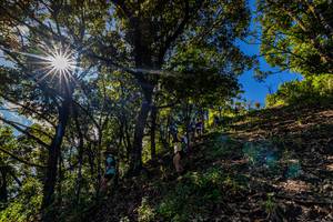 BIB: 
                            <button type="button" onclick="openModal(19375802)" class="btn btn-primary btn-sm float-right btn-popup" data-toggle="modal" data-target=".modal-high-quality">
                        <i class="fas fa-shopping-cart"></i> Add to Cart
                    </button>
                                            <button type="button" onclick="isThisMe(19375802, true)" class="btn btn-success btn-sm float-right btn-popup btn-isme hidden" data-toggle="tooltip" data-placement="bottom" title="นี่คือรูปของคุณใช่ไหม คลิกที่นี่เพื่อเอาเข้าอัลบั้ม">
                        <i class="fas fa-plus"></i> Add to album
                    </button>
                    <button type="button" onclick="isThisMe(19375802, false)" class="btn btn-warning btn-sm float-right btn-popup btn-isnotme hidden">
                        <i class="fas fa-ban"></i> Remove from album
                    </button>