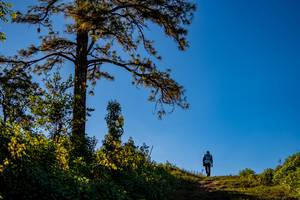 BIB: 
                            <button type="button" onclick="openModal(19374633)" class="btn btn-primary btn-sm float-right btn-popup" data-toggle="modal" data-target=".modal-high-quality">
                        <i class="fas fa-shopping-cart"></i> Add to Cart
                    </button>
                                            <button type="button" onclick="isThisMe(19374633, true)" class="btn btn-success btn-sm float-right btn-popup btn-isme hidden" data-toggle="tooltip" data-placement="bottom" title="นี่คือรูปของคุณใช่ไหม คลิกที่นี่เพื่อเอาเข้าอัลบั้ม">
                        <i class="fas fa-plus"></i> Add to album
                    </button>
                    <button type="button" onclick="isThisMe(19374633, false)" class="btn btn-warning btn-sm float-right btn-popup btn-isnotme hidden">
                        <i class="fas fa-ban"></i> Remove from album
                    </button>